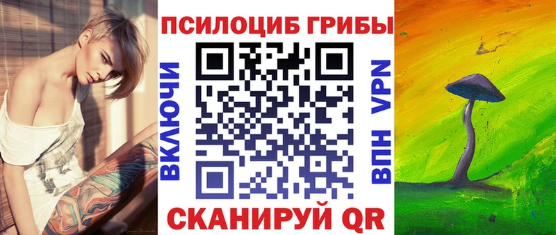 Псилоцибиновые грибы мицелий Волосово