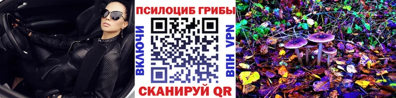 цены наркотик  Волосово  Псилоцибиновые грибы мухоморы 